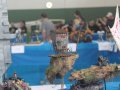 IMG_0072