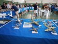 AVIACAO_15
