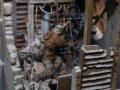 DIORAMAS_2