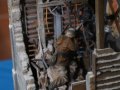 DIORAMAS_3