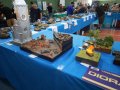 DIORAMAS_4