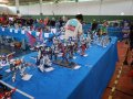 FICCAO_19