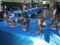 FICCAO_76