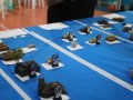 MILITARIA_9