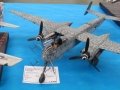 IMG_5208