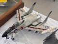 Catanduva_Aviacao-103