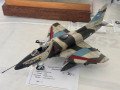 Catanduva_Aviacao-104