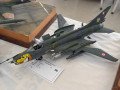 Catanduva_Aviacao-106