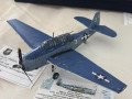 Catanduva_Aviacao-59