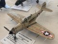 Catanduva_Aviacao-68