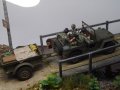 DSCF3101