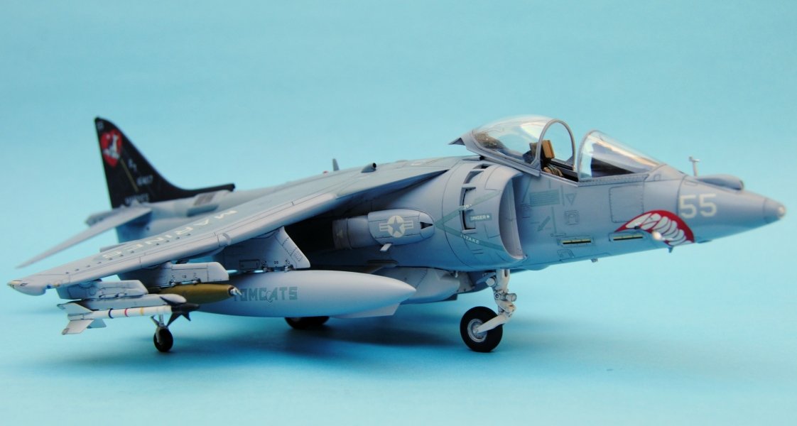 Harrier 008