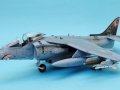 Harrier 001
