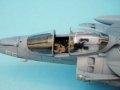 Harrier 0010