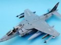 Harrier 002