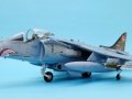 Harrier 003