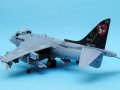Harrier 004