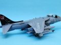 Harrier 005