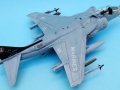 Harrier 006