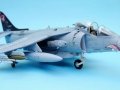 Harrier 007