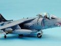 Harrier 008