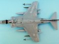 Harrier 009