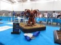 IMG_5681
