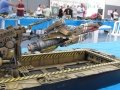 IMG_5381