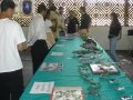 foto-009